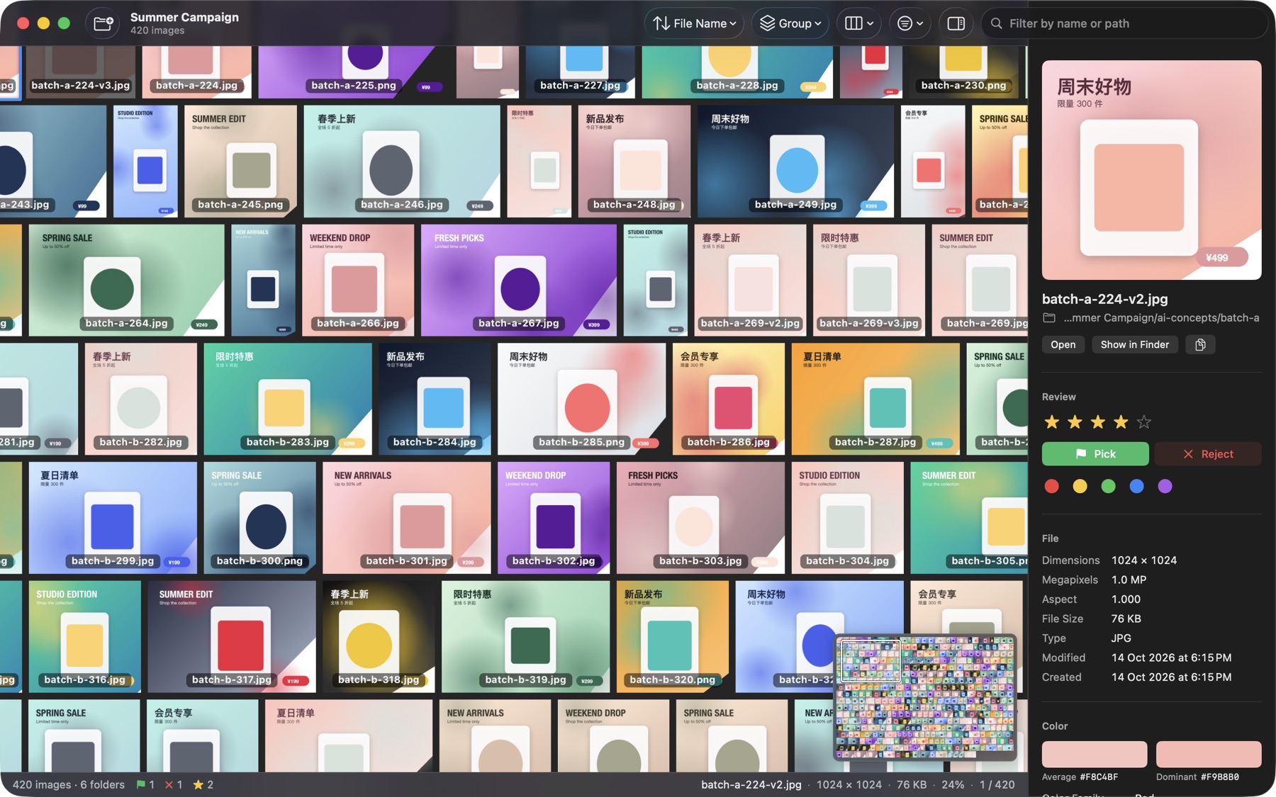 Rated and picked images with the inspector open